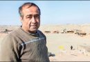 شریفی راد
